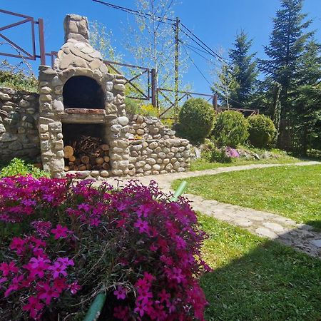 Chalet Mila Mavrovo-Nationalpark Exterior foto